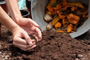 FERTILIZER TESTING