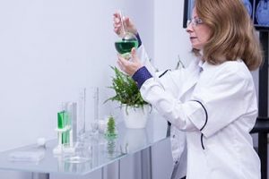 PLANT INFECTION TESTING