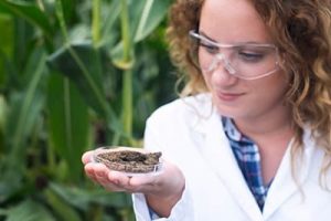 SOIL TESTING SOIL TESTING